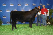 reserve champion maine jr.jpg