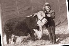 nwss 1945 herford steer.jpg