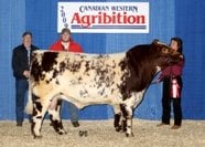 Uluru Buster 6T Agribition 2009 downsized 2.jpg