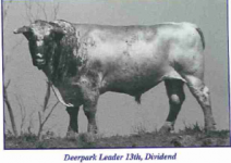 Deerpark Leader 13th.jpg_thumb.png