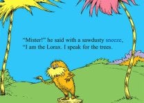 lorax3.jpg