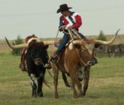 Real Cowboys Ride Texas Longhorns 1.JPG