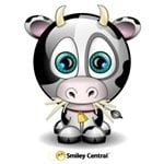 smiley cow.jpg