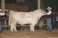 gus winning nwss.jpg